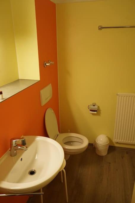 Appartement Mit Bademantelgang バート・グリースバッハ エクステリア 写真